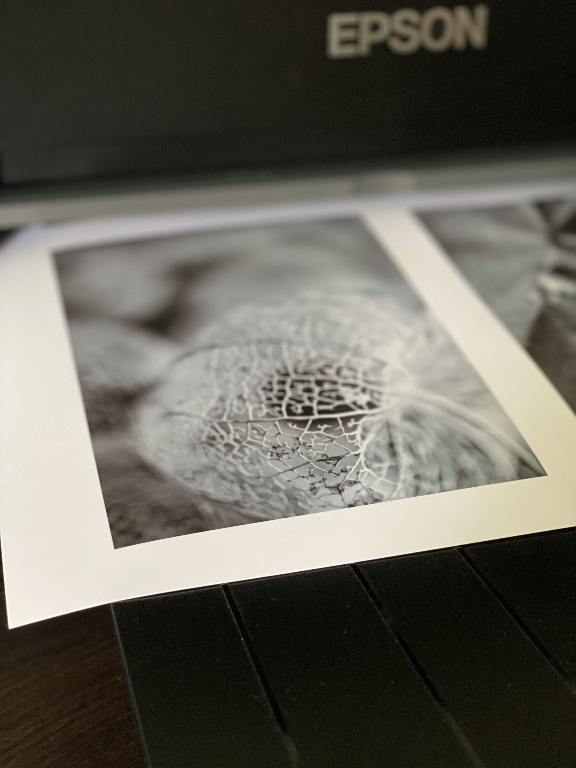 Fine Art Print aus Drucker