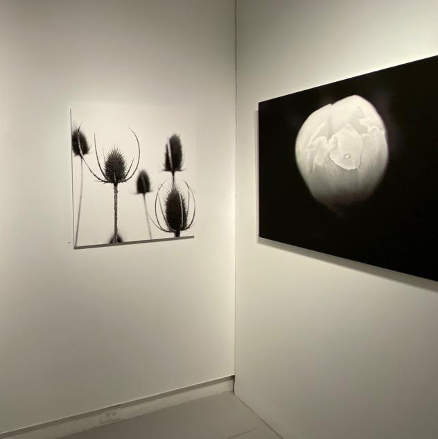 Agora Exhibit quadratisch