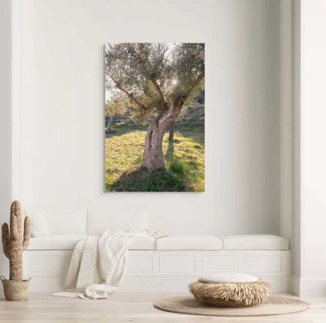 Olivenbaum Wandbild